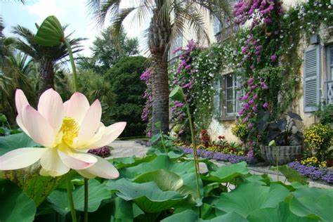 Visita all’Isola Madre sul Lago Maggiore  13 maggio&nbsp;2023