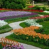 Visita guidata al giardino botanico di Villa Taranto – 20 aprile&nbsp;2024